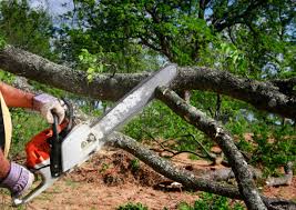 Best Seasonal Cleanup (Spring/Fall)  in Chaska, MN