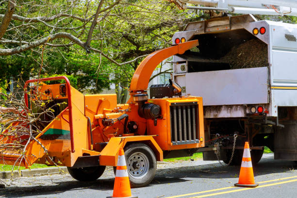 Best Emergency Tree Removal  in Chaska, MN
