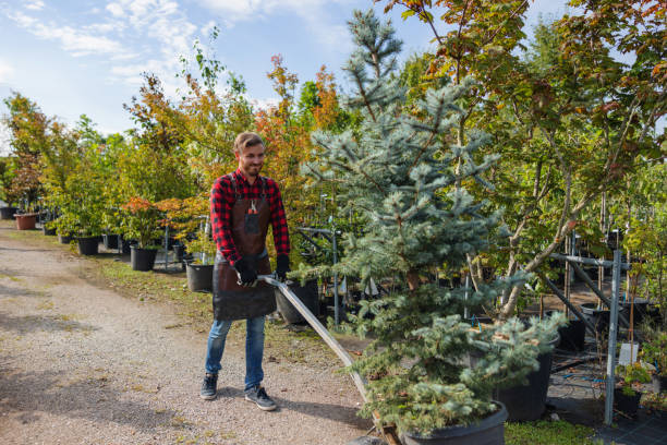 Best Utility Line Clearance  in Chaska, MN